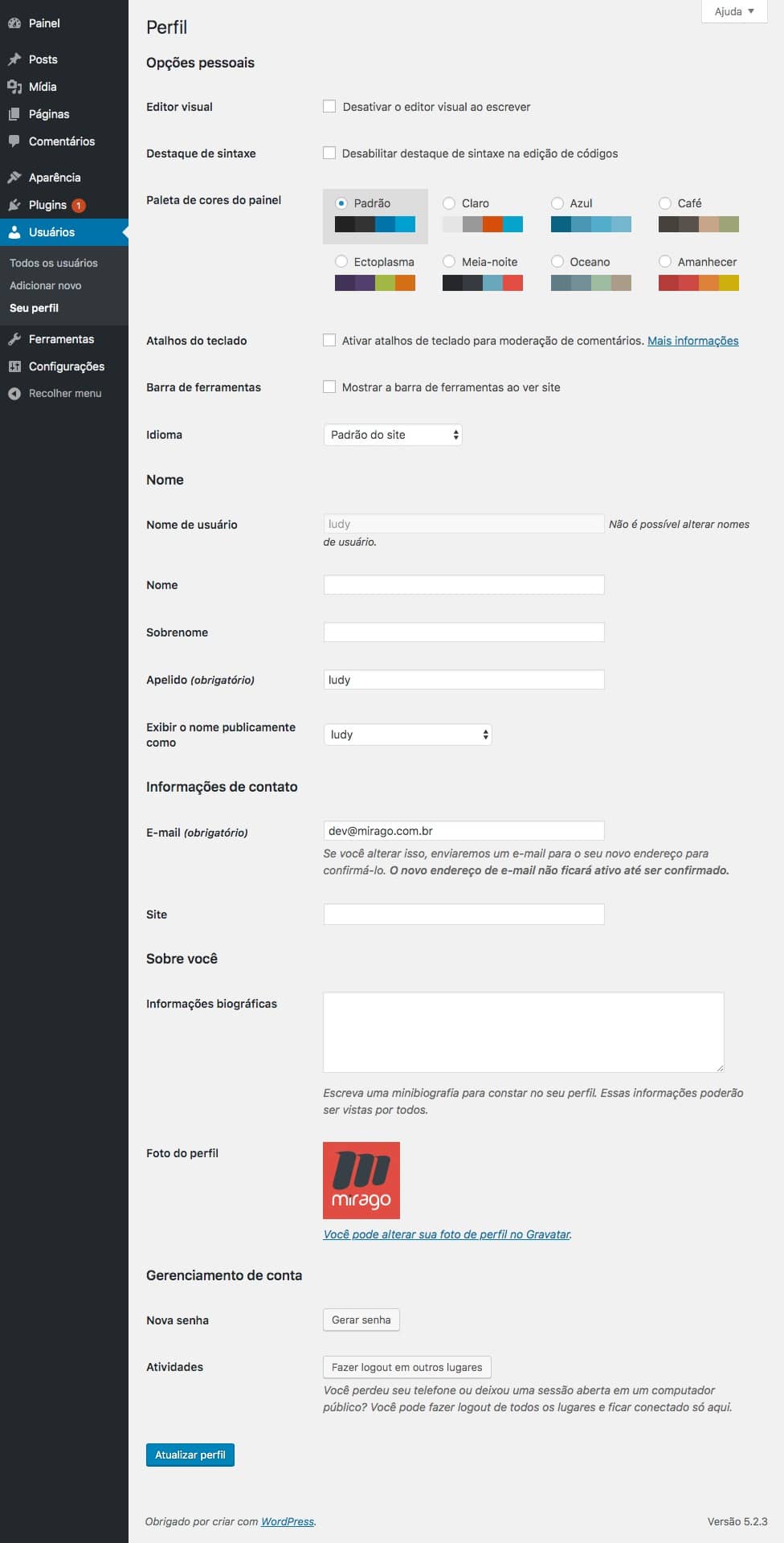 Tela de Edição de Usuário no WordPress