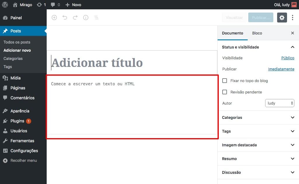 Usuário WordPress com o editor visual desabilitado