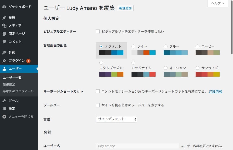 Configuração de Idioma por Usuário no WordPress