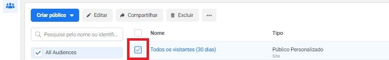selecione público personalizado