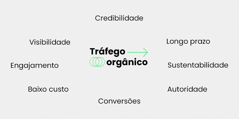 tráfego orgânico - nuvem de palavras