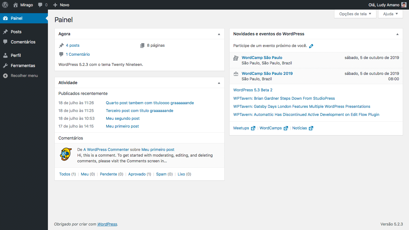 Painel do WordPress para Contribuidores