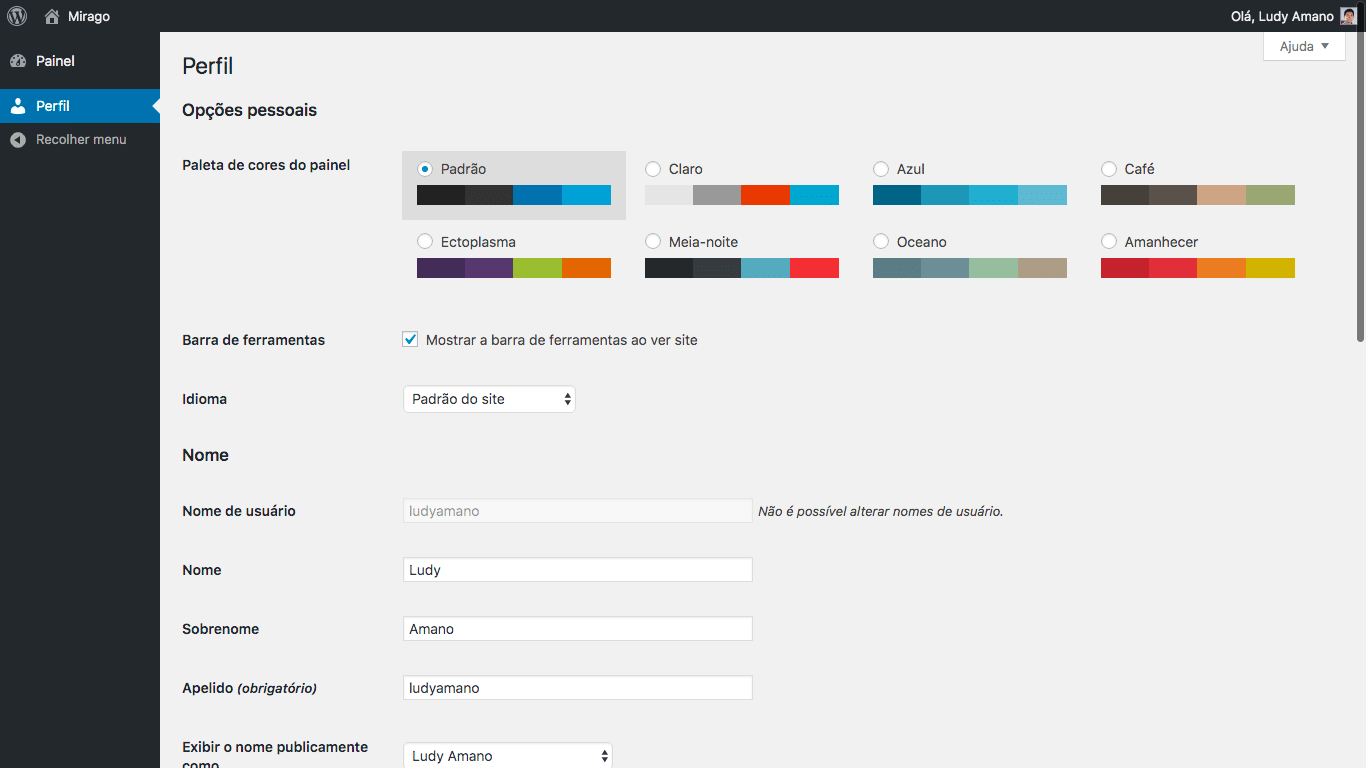 Painel do WordPress para Assinantes